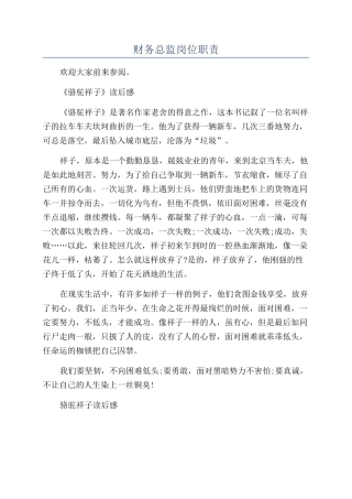 财务总监岗位职责