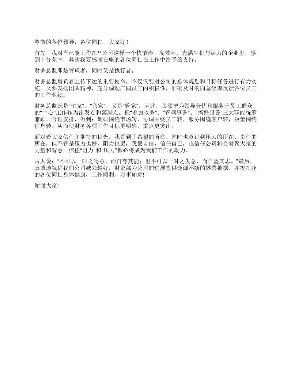 财务总监演讲稿_第1页