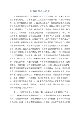 财务核算总结范文