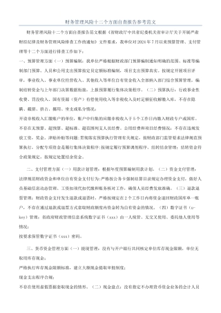 财务管理风险十二个方面自查报告参考范文