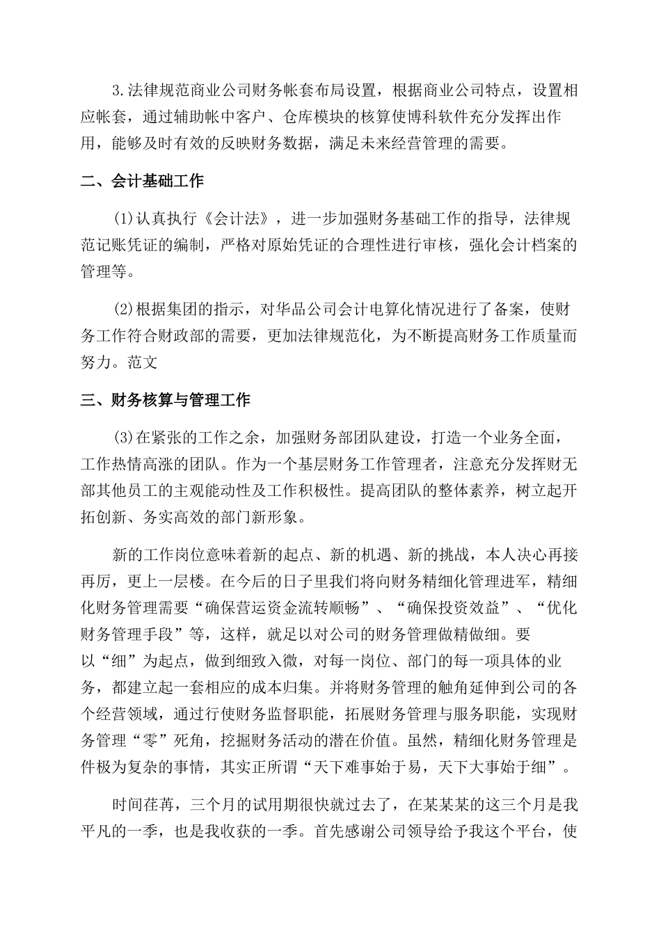 财务经理试用期工作总结范文_第2页