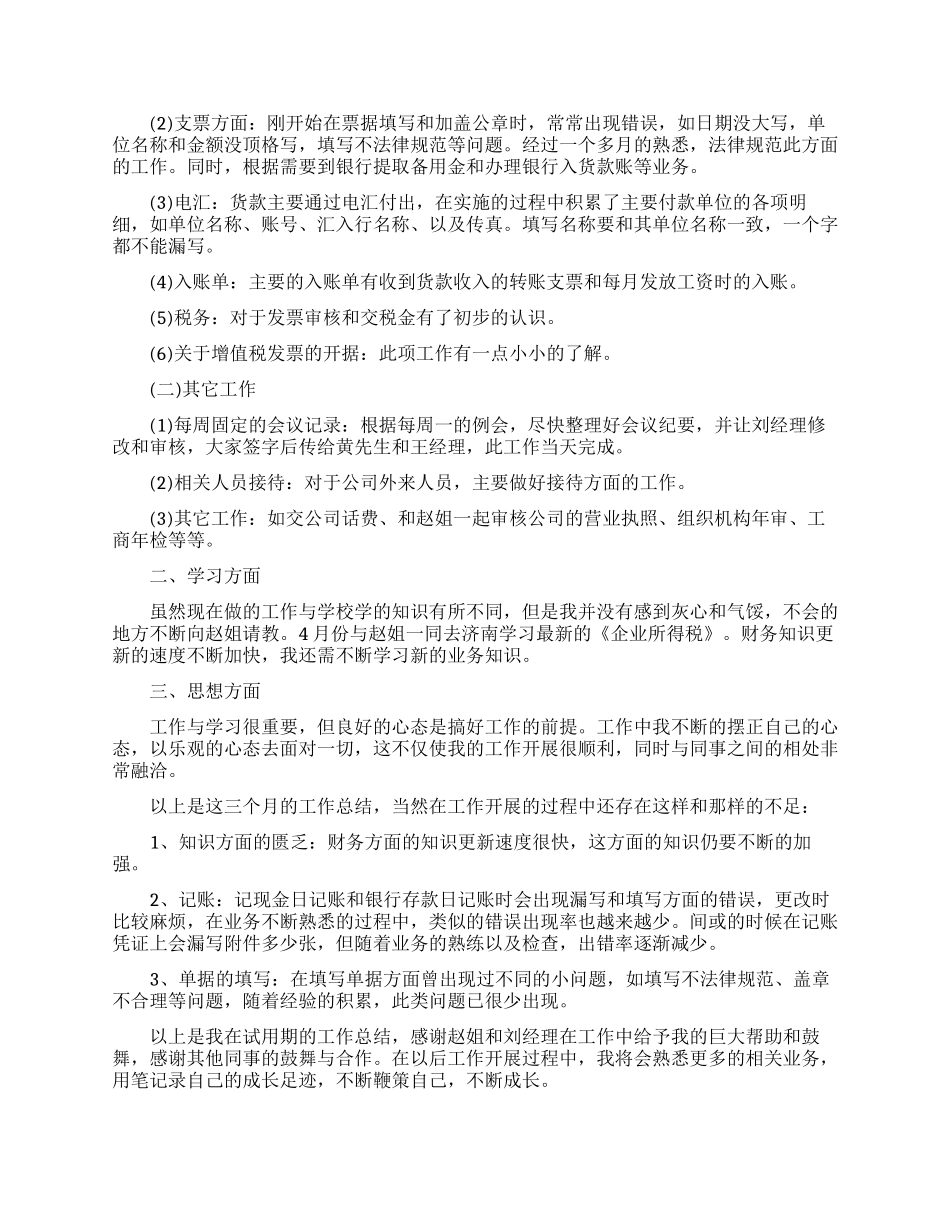 财务试用期工作总结_第3页
