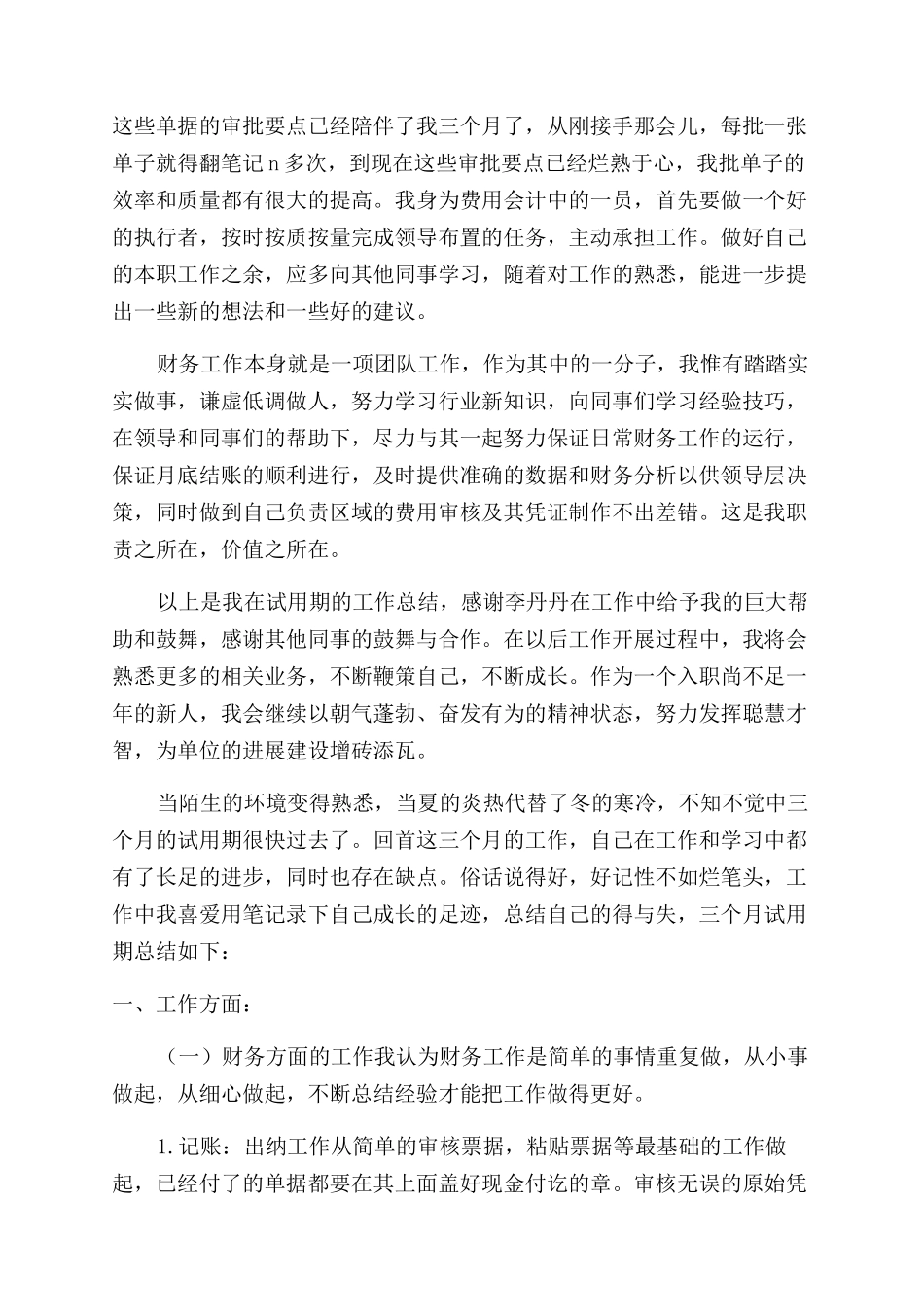 财务试用期工作总结范文600字_第2页