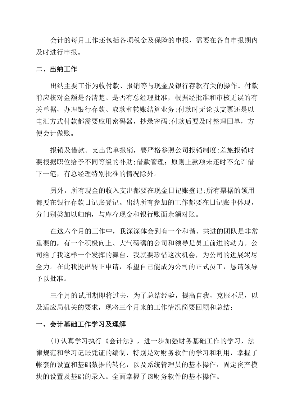 财务试用期转正个人工作总结范文_第2页