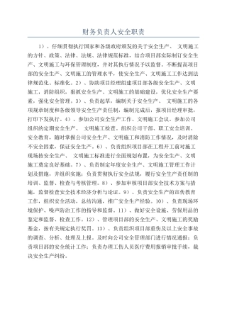 财务负责人安全职责