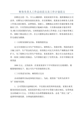 财务负责人工作总结范文及工作计划范文