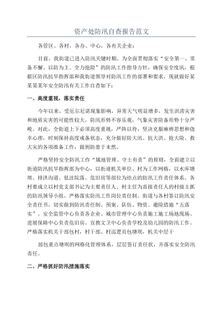资产处防汛自查报告范文