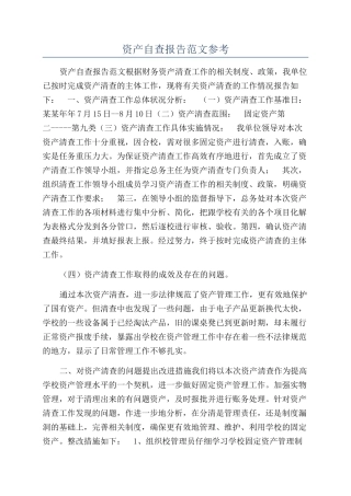 资产自查报告范文参考