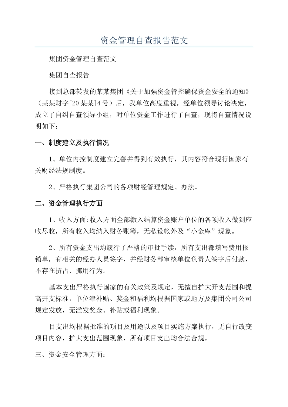 资金管理自查报告范文_第1页