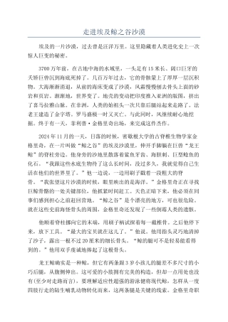 走进埃及鲸之谷沙漠