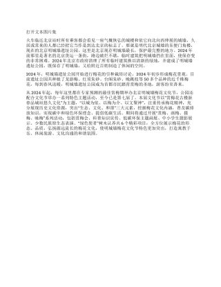 踏青寻梅明城墙