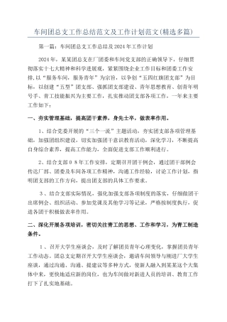 车间团总支工作总结范文及工作计划范文