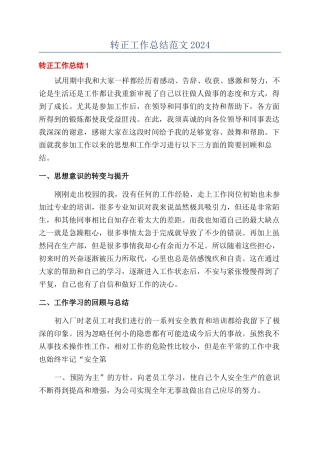 转正工作总结范文2024