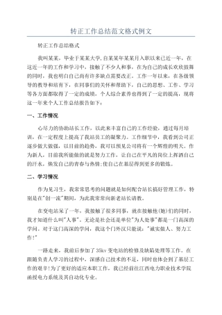 转正工作总结范文格式例文
