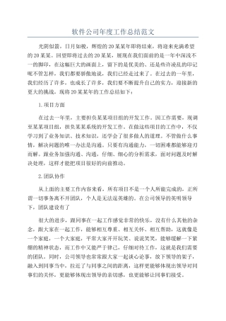 软件公司年度工作总结范文