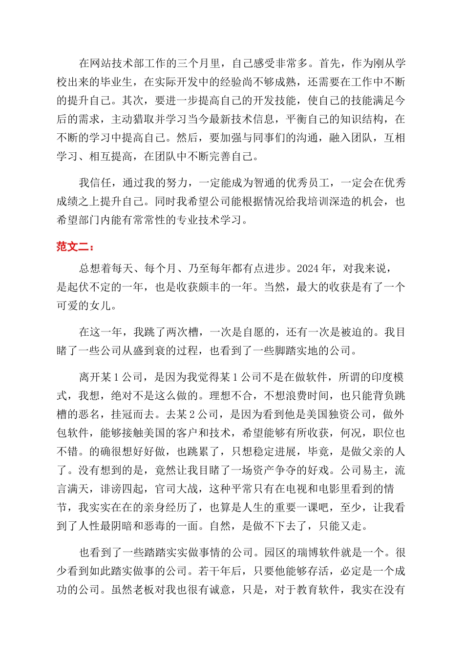 软件工程师个人工作总结范文两篇_第2页