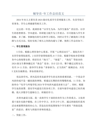 辅导员-年工作总结范文