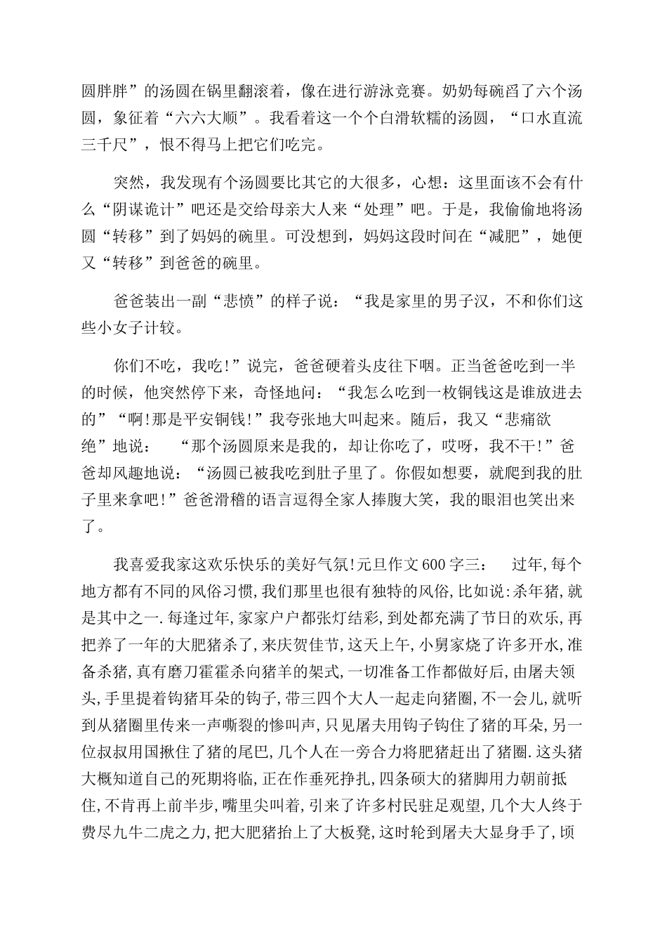 过元旦节作文范文600字_第2页