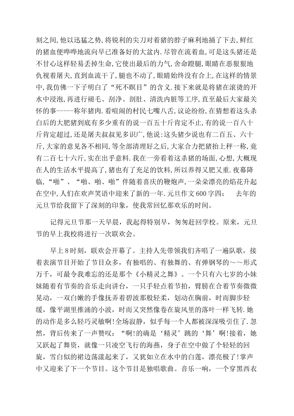 过元旦节作文范文600字_第3页