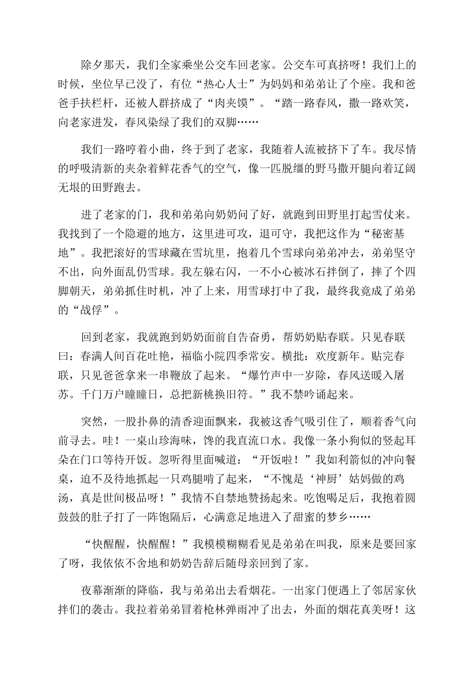 过年的作文范文100字_第2页