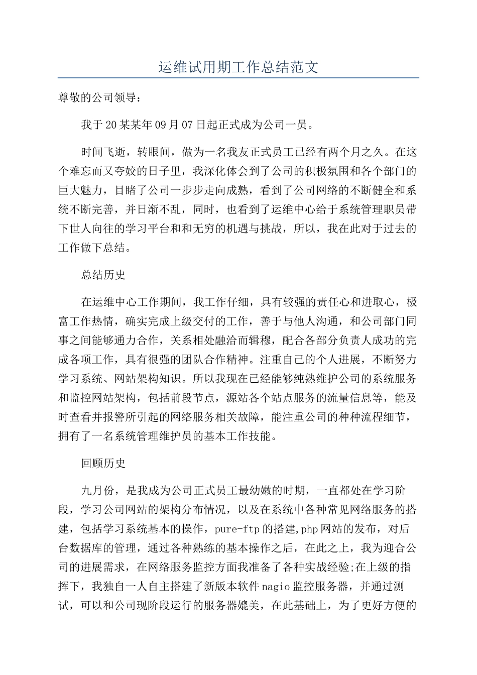 运维试用期工作总结范文_第1页