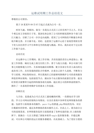 运维试用期工作总结范文