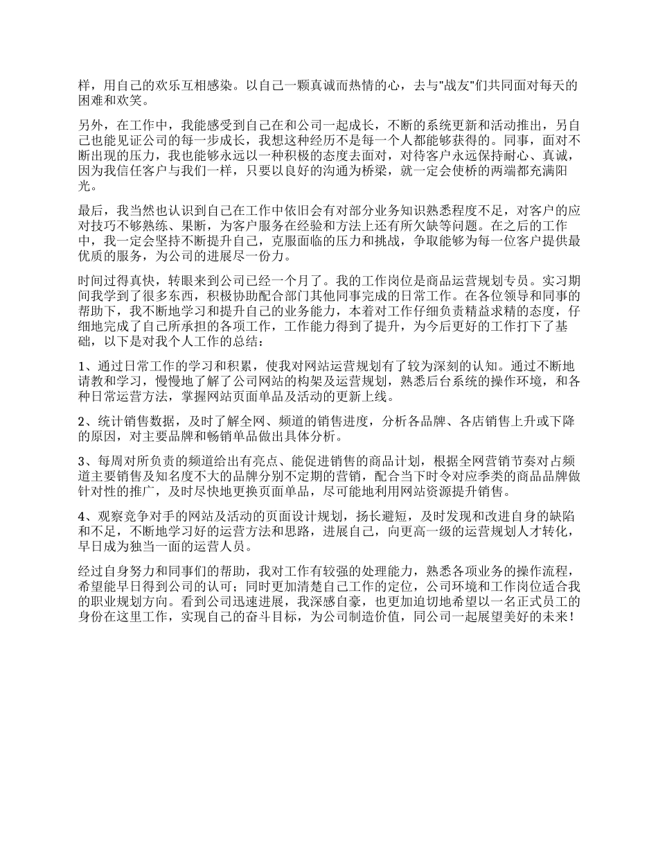 运营部月度工作总结_第2页