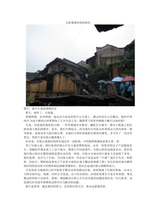 还原那最单纯的绿色