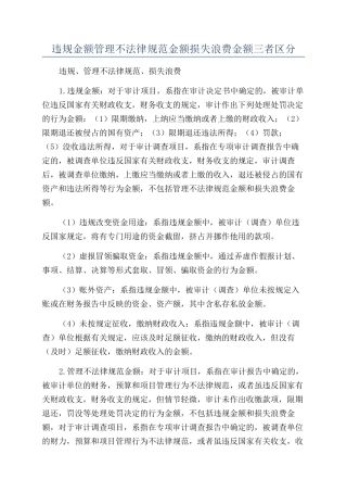 违规金额管理不规范金额损失浪费金额三者区分