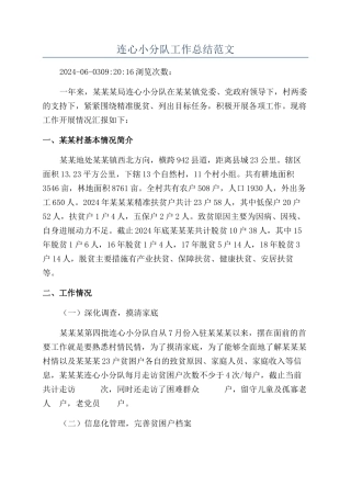 连心小分队工作总结范文