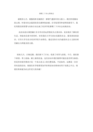 连锐宇三下乡总结