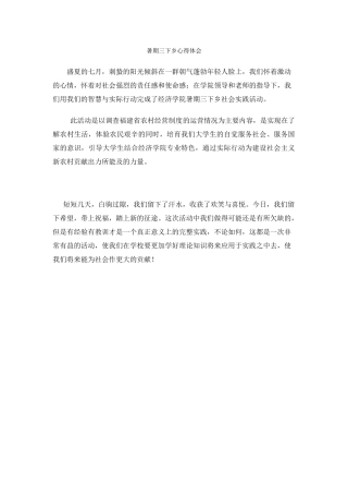 连锐宇-三下乡总结