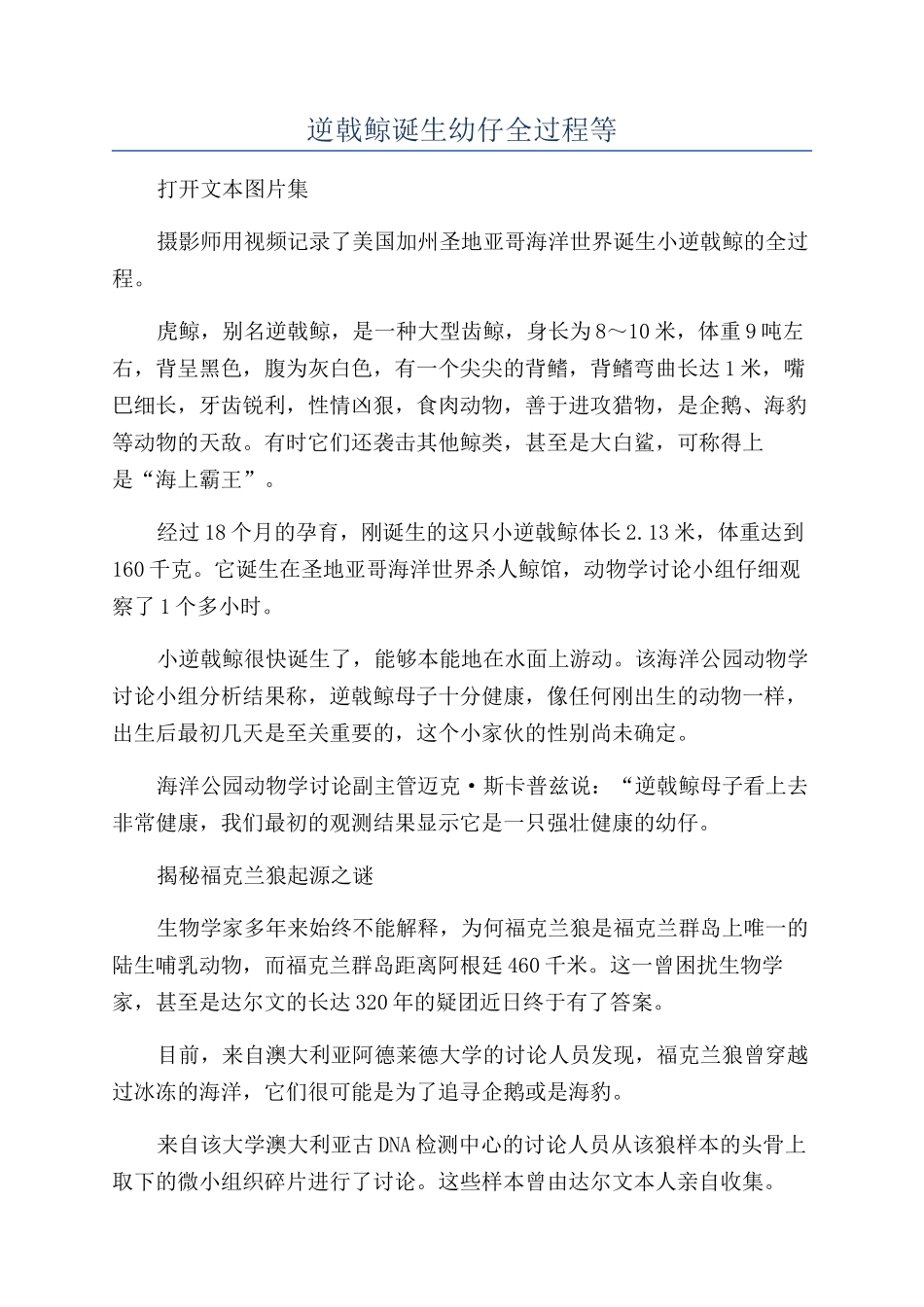 逆戟鲸诞生幼仔全过程等_第1页