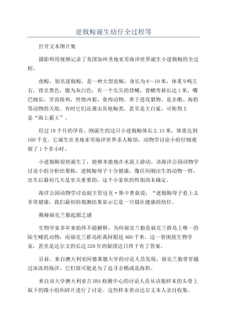 逆戟鲸诞生幼仔全过程等