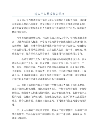 选人用人整改报告范文
