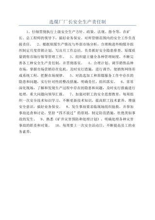 选煤厂厂长安全生产责任制