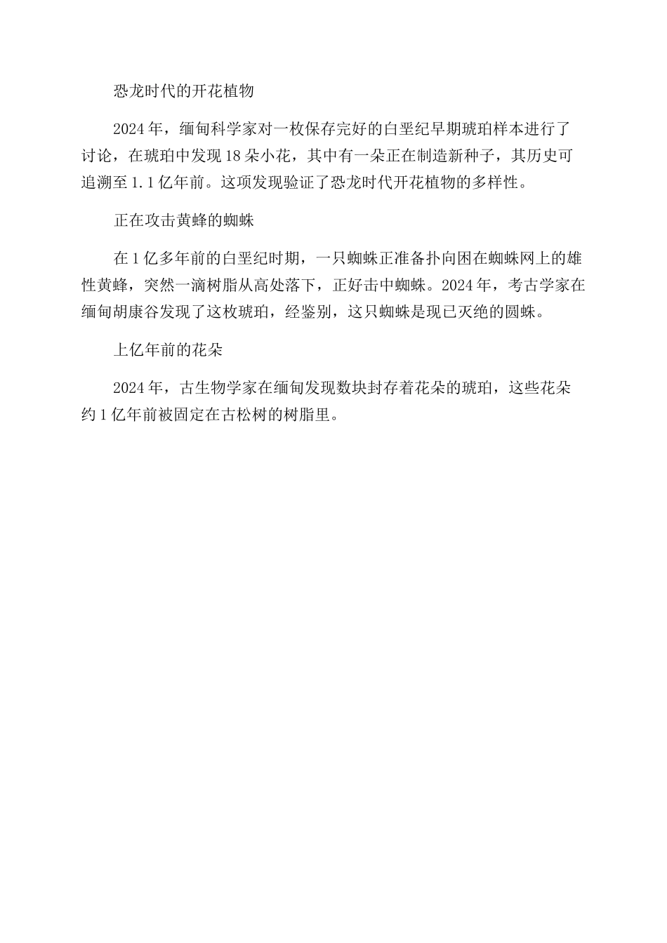 透过琥珀看世界_第2页