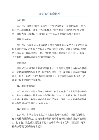 透过琥珀看世界