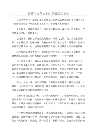 遇见作文范文800字记叙文2024