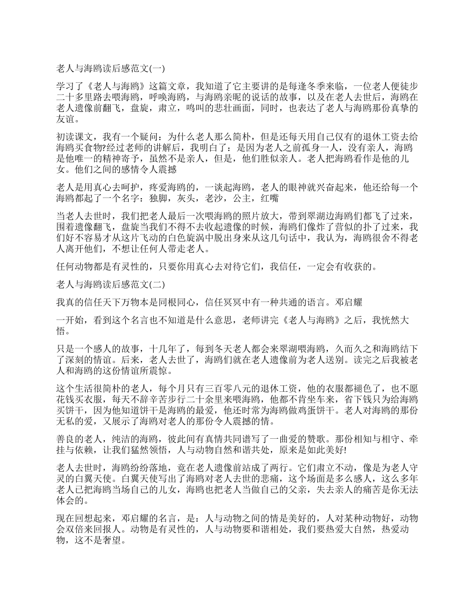 邓启耀《老人与海鸥》读后感5篇_第1页