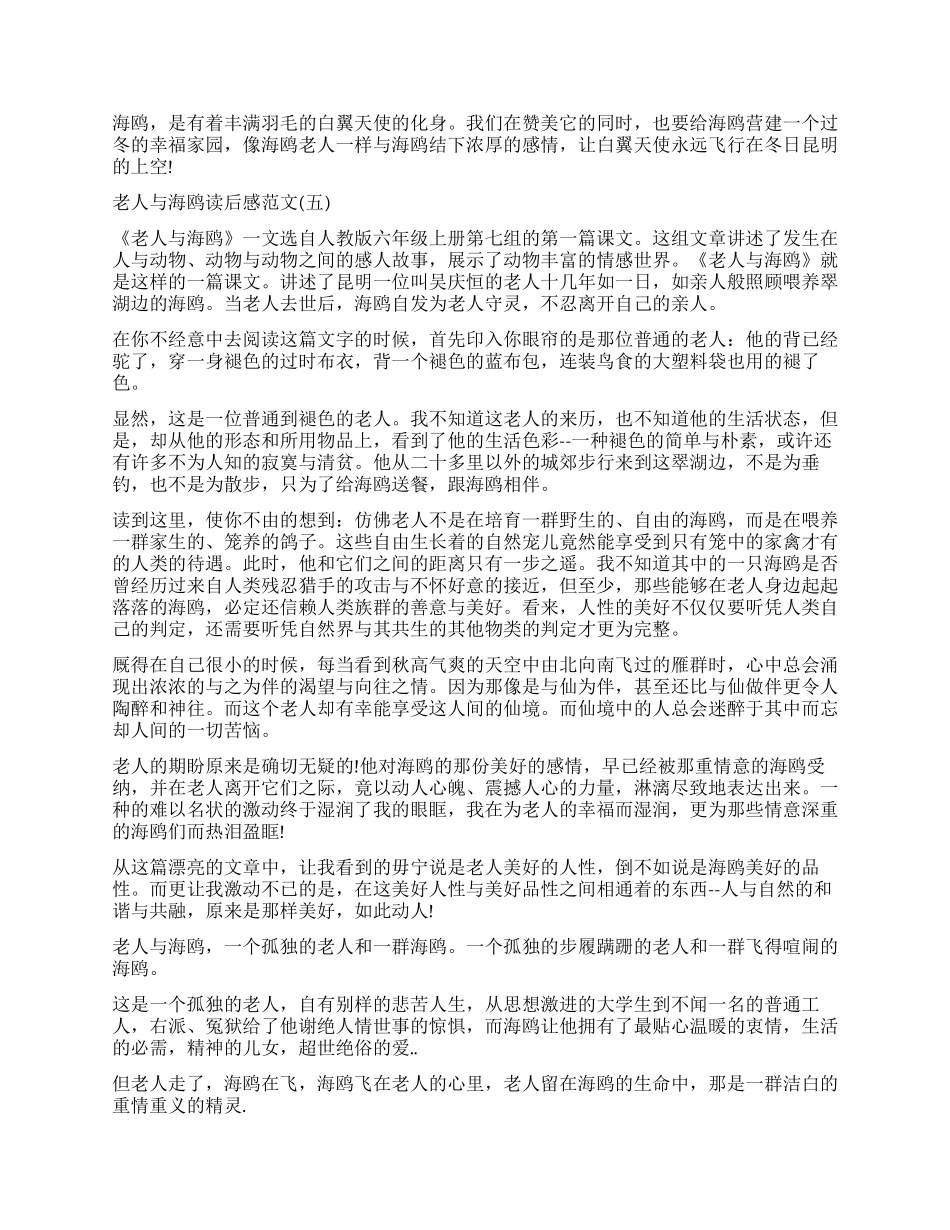 邓启耀《老人与海鸥》读后感5篇_第3页