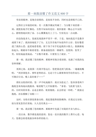 那一刻我读懂了作文范文800字