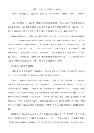 那是一次什么的尝试作文600字