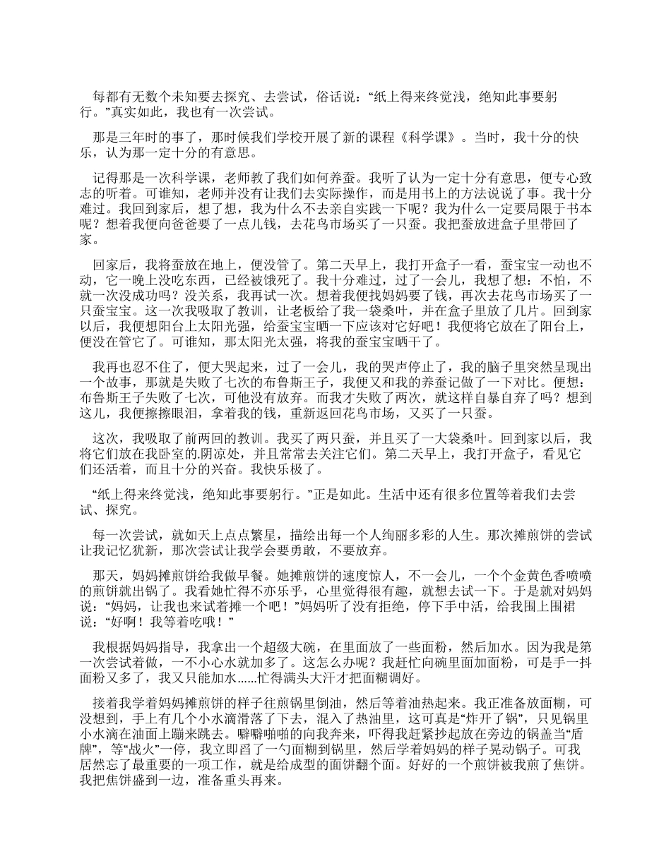 那是一次难忘尝试优秀作文_第1页