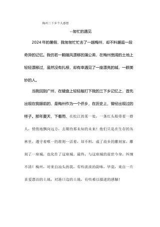 郑兴捷-三下乡总结