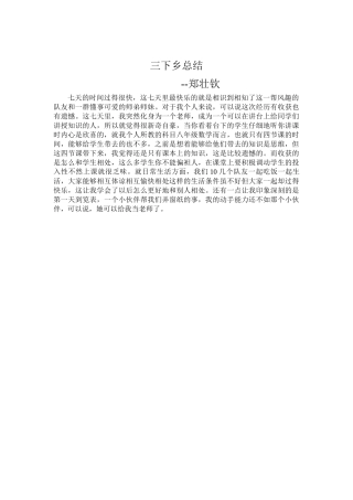 郑壮钦-三下乡总结