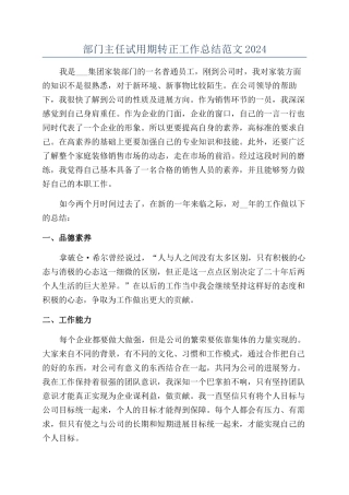 部门主任试用期转正工作总结范文2024