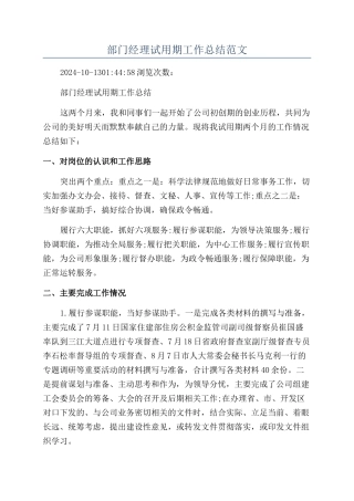 部门经理试用期工作总结范文