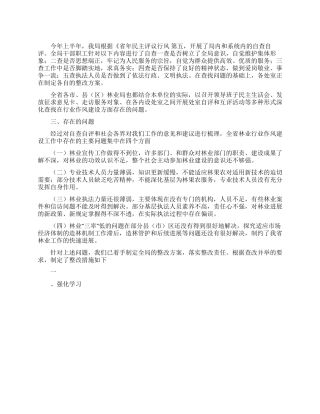部队个人自查报告