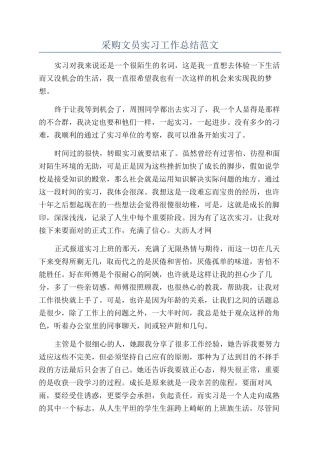 采购文员实习工作总结范文